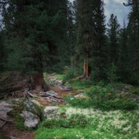 * :: Александр Иванов