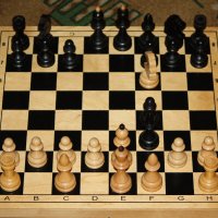 20 июля- Всемирный день шахмат. С праздником, шахматисты! ) :: Константин Штарк