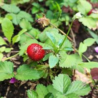 ,,, :: Сергей Тимоновский ,,, :: Сергей Тимоновский