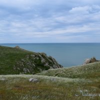 Природа Крыма :: Amazing Cosmea