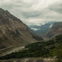 Северный Кавказ :: Лилия .