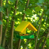 ___ :: Yuriy V ___ :: Yuriy V