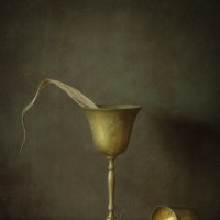 *** :: Oleg Rastorguev