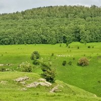 СЕВЕРНЫЙ КАВКАЗ :: Tata Wolf