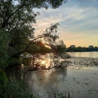 На закате :: Мария Васильева