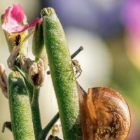 Про макро :: Владимир Колесников