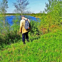 Июнь...В зелено-голубом царстве протоки Чеускина! :: Владимир 
