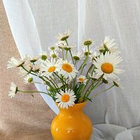 Красота как она есть. :: Любовь Сахарова