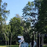 Скоро начнется представление! :: Ольга 