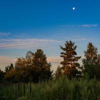 Рассвет :: Петр 