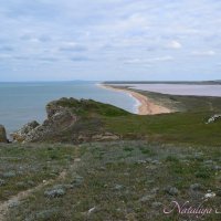Природа Крыма :: Amazing Cosmea