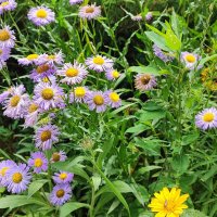 ,,, :: Сергей Тимоновский