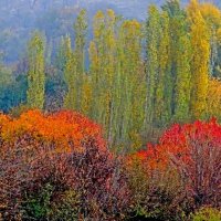 ПО НИЗАМ. :: Виктор Осипчук ПО НИЗАМ. :: Виктор Осипчук