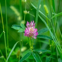 ___ :: Yuriy V ___ :: Yuriy V