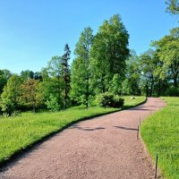 Парковая аллея. :: Лия ☼ Парковая аллея. :: Лия ☼