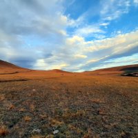 . :: Алексей Неустроев