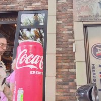 ЛЕ БО 4 (41) :: CLOSE WAYS ALL