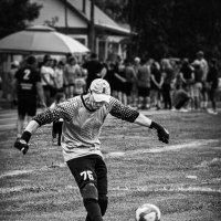 Добыча вратаря :: Николай Мокшин