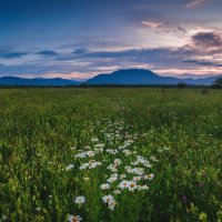 Почти розовый вечер :: Alexander Fedotov