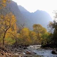 ПО НИЗАМ. :: Виктор Осипчук ПО НИЗАМ. :: Виктор Осипчук