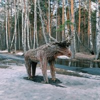 Лось :: Георгиевич 