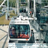 Воздушное путешествие завершилось. :: Татьяна Помогалова