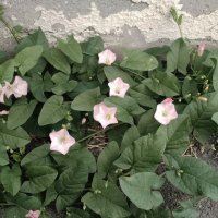 лето 2025 :: Анастасия Малыгина