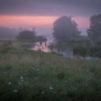 **** :: Елизавета .