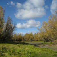 Осень :: Anna Ivanova Осень :: Anna Ivanova