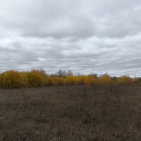 Осень :: Anna Ivanova