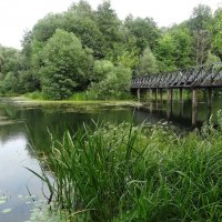 Мостик :: Лидия Бусурина