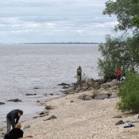 На озере Ильмень :: Александр Ильчевский 