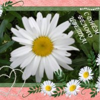 С ДНЁМ БЕЛОГО ЦВЕТКА! :: Дмитрий Никитин