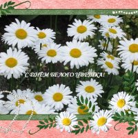 С ДНЁМ БЕЛОГО ЦВЕТКА! :: Дмитрий Никитин С ДНЁМ БЕЛОГО ЦВЕТКА! :: Дмитрий Никитин