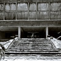 Развитие художественной гимнастике в сельской местности :: СЮ 