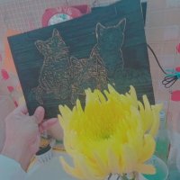 112 (78) :: СТРЕН 