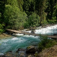 Махар :: Дмитрий Емельянов