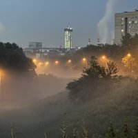 Туман после дождя :: Анна Камс