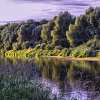 Лето на Клязьме :: Сергей Цветков