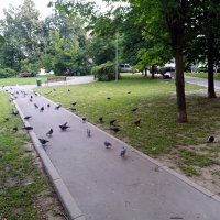 Московский двор. :: Владимир Драгунский Московский двор. :: Владимир Драгунский