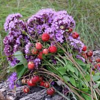 Июльские этюды... :: Андрей Заломленков Июльские этюды... :: Андрей Заломленков