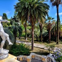 В парке "Дендрарий". Сочи :: Mikhail Irtyshskiy В парке "Дендрарий". Сочи :: Mikhail Irtyshskiy