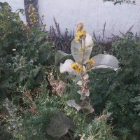 Talgar. :: Murat Bukaev 