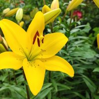 ,,, :: Сергей Тимоновский