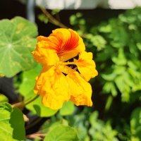 ,,, :: Сергей Тимоновский