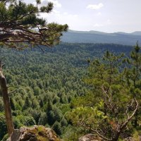 ЛАГОНАКИ :: Tata Wolf