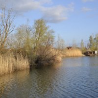 **** :: Виктор 