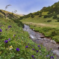 Берега горной речушки :: LudMila Берега горной речушки :: LudMila