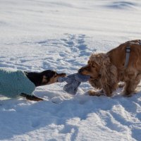 перетяжки :: Павел Харлин