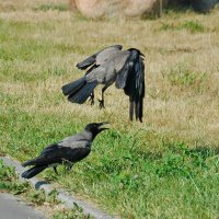 ... :: Елена Пономарева ... :: Елена Пономарева